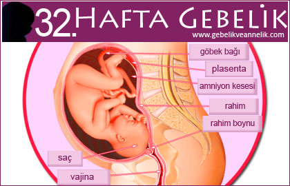 32 hafta gebelik