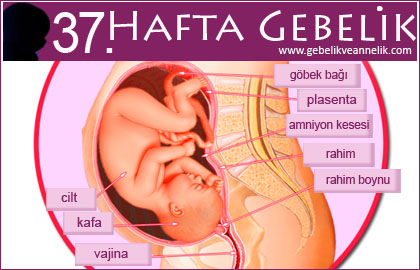 37 hafta gebelik