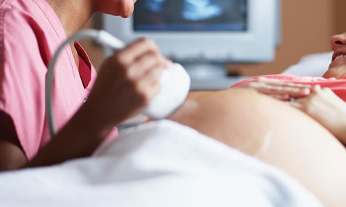hamilelik testleri