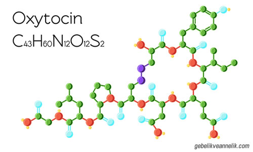 Oksitosin Hormonu Nedir ve Nasil Artirilir