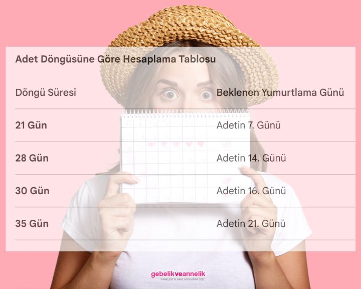 Yumurtlama Günü Nasıl Hesaplanır