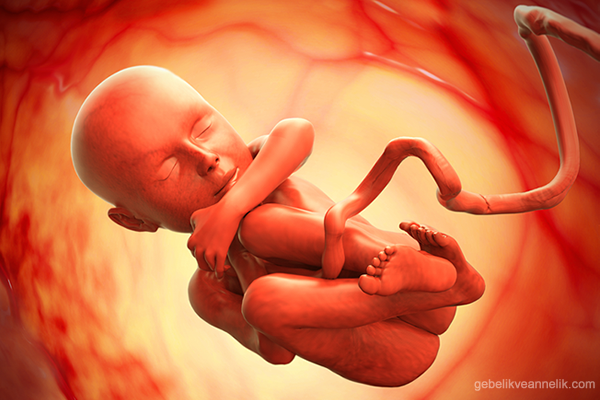 Fetal DNA Testi Ne Zaman Sonuclanir?