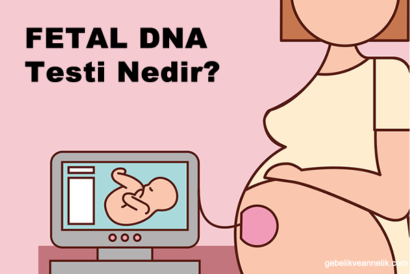 fetal dna test nedir