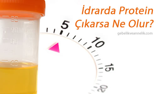 İdrarda Protein Çıkarsa Ne Olur