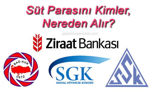 Süt Parası Nereden Alınır