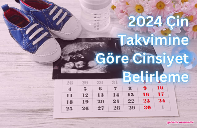 2024 Çin Takvimine Göre Cinsiyet Belirleme