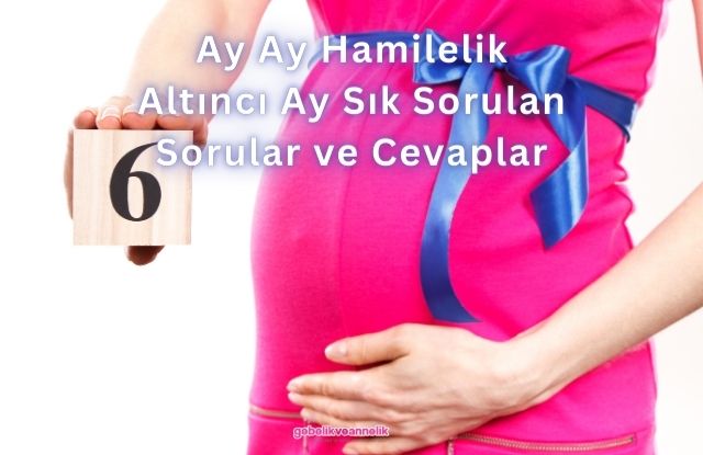 Ay Ay Hamilelik Altıncı Ay Sık Sorulan Sorular ve Cevapları