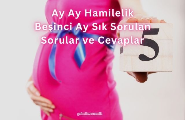 Ay Ay Hamilelik Beşinci Ay Sık Sorulan Sorular ve Cevapları