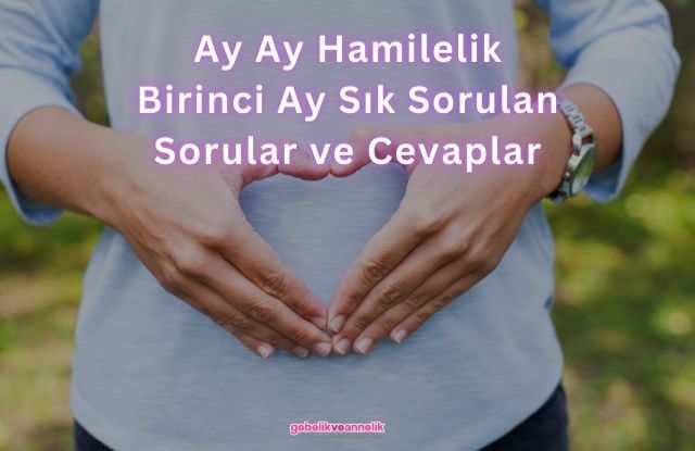 Ay Ay Hamilelik Birinci Ay Sık Sorulan Sorular ve Cevapları