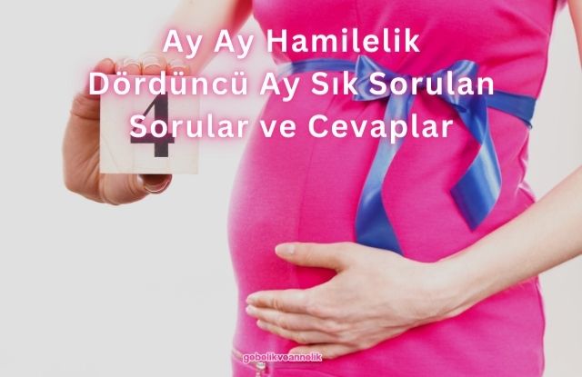 Ay Ay Hamilelik Dördüncü Ay Sık Sorulan Sorular ve Cevapları