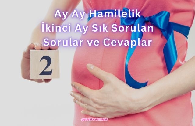 Ay Ay Hamilelik İkinci Ay Sık Sorulan Sorular ve Cevapları