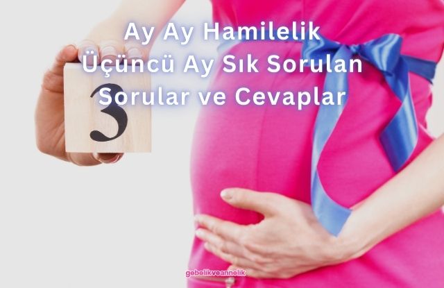 Ay Ay Hamilelik Üçüncü Ay Sık Sorulan Sorular ve Cevapları