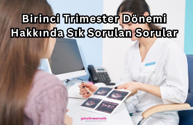 Birinci Trimester Dönemi Hakkında Sık Sorulan Sorular