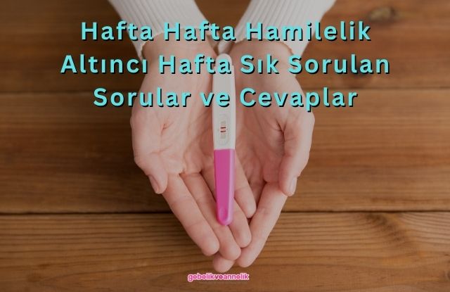 Hafta Hafta Hamilelik Altıncı Hafta Sık Sorulan Sorular ve Cevapları