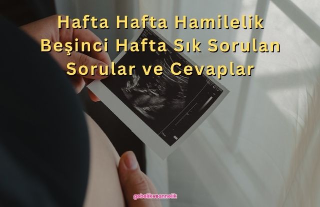 Hafta Hafta Hamilelik Beşinci Hafta Sık Sorulan Sorular ve Cevapları