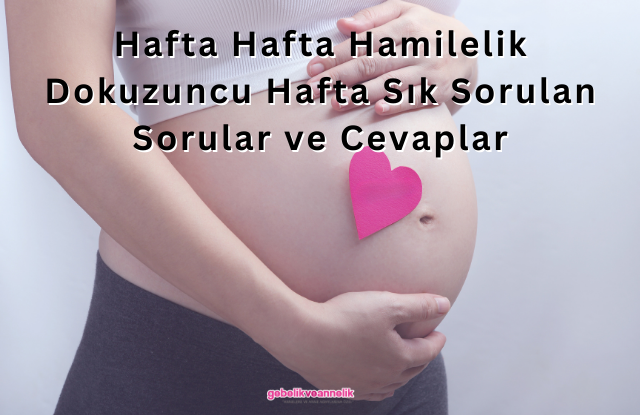 Hafta Hafta Hamilelik Dokuzuncu Hafta Sık Sorulan Sorular ve Cevapları