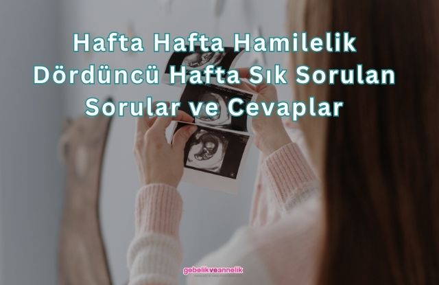 Hafta Hafta Hamilelik Dördüncü Hafta Sık Sorulan Sorular ve Cevapları