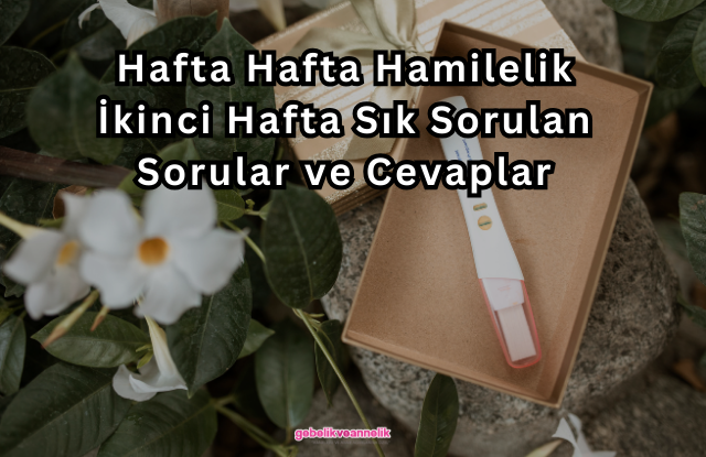 Hafta Hafta Hamilelik İkinci Hafta Sık Sorulan Sorular ve Cevapları