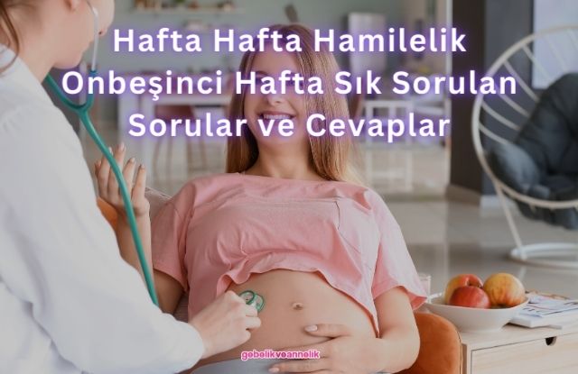 Hafta Hafta Hamilelik Onbeşinci Hafta Sık Sorulan Sorular ve Cevapları