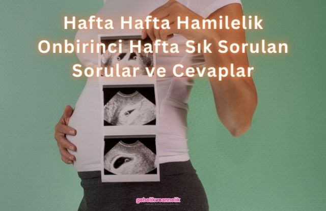 Hafta Hafta Hamilelik Onbirinci Hafta Sık Sorulan Sorular ve Cevapları