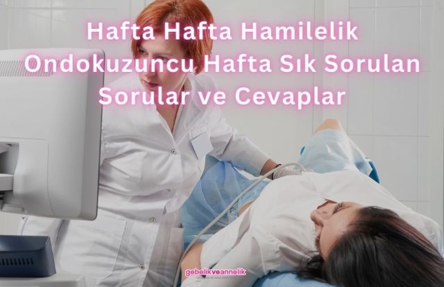 Hafta Hafta Hamilelik Ondokuzuncu Hafta Sık Sorulan Sorular ve Cevapları