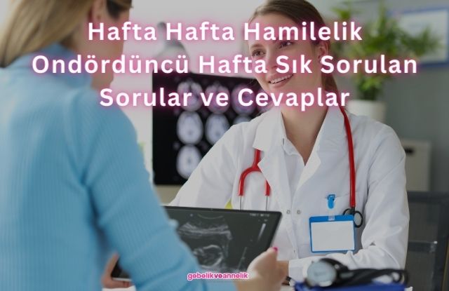 Hafta Hafta Hamilelik Ondördüncü Hafta Sık Sorulan Sorular ve Cevapları