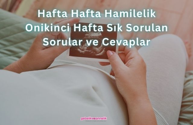 Hafta Hafta Hamilelik Oniki Hafta Sık Sorulan Sorular ve Cevapları