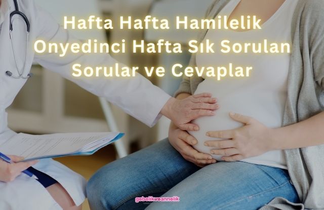 Hafta Hafta Hamilelik Onyedinci Hafta Sık Sorulan Sorular ve Cevapları