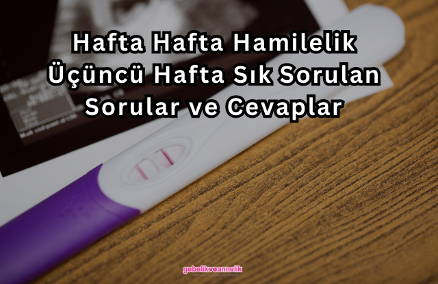 Hafta Hafta Hamilelik Üçüncü Hafta Sık Sorulan Sorular ve Cevapları