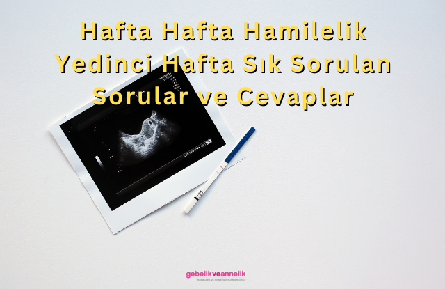 Hafta Hafta Hamilelik Yedinci Hafta Sık Sorulan Sorular ve Cevapları