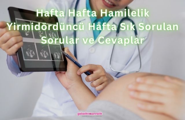 Hafta Hafta Hamilelik Yirmidördüncü Hafta Sık Sorulan Sorular ve Cevapları