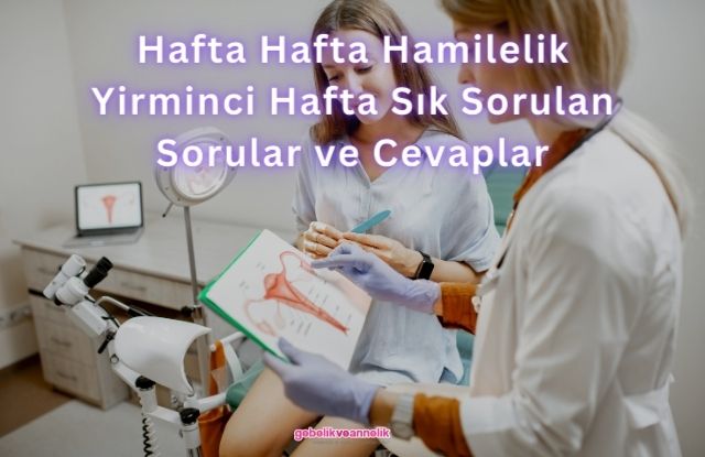 Hafta Hafta Hamilelik Yirminci Hafta Sık Sorulan Sorular ve Cevapları