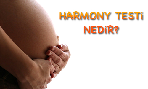 Harmony testi nedir