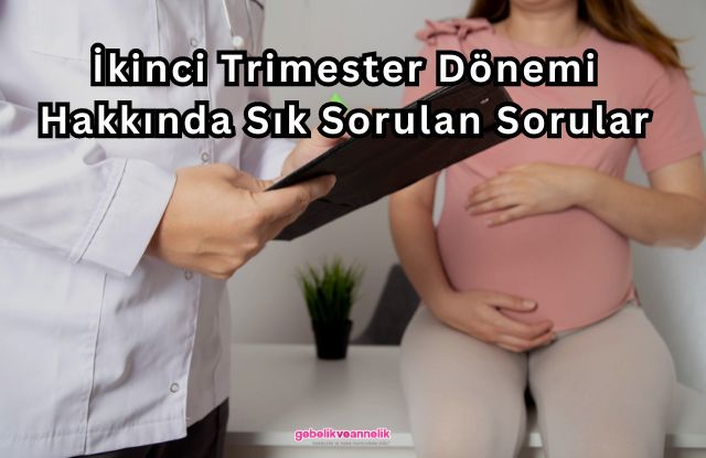 İkinci Trimester Dönemi Hakkında Sık Sorulan Sorular