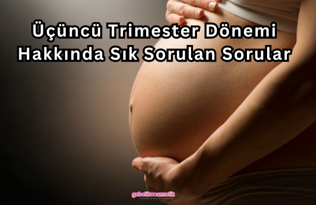 Üçüncü Trimester Dönemi Hakkında Sık Sorulan Sorular