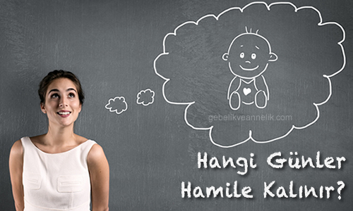 Hangi Günler Hamile Kalınır