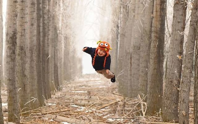 Uçan Wil (Wil Can Fly)