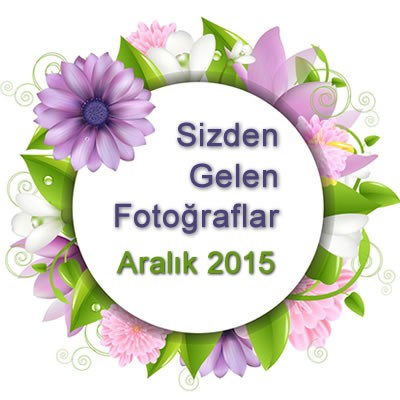 Sizden Gelenler Aralık 2015