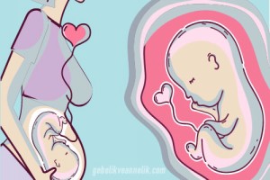 Hamilelikte Bebeğin Hareketleri - Tekmeleri  Ne Zaman Hissedilir?