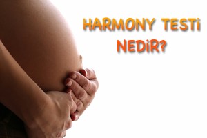 Harmony Testi Nedir?