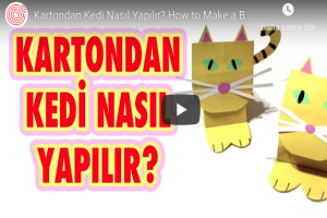 Kartondan Kedi Nasıl Yapılır (Videolu Anlatım)