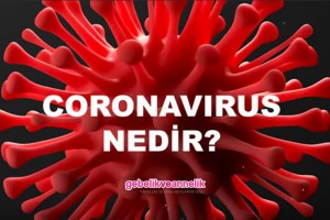 Korona Virüs Belirtileri, Korunma Yöntemleri ve Tedavisi
