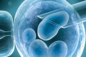 Mikroenjeksiyonun Tüp Bebek Yönteminden Farkı Nedir?