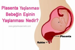 Plasenta Yaşlanması Nedir?