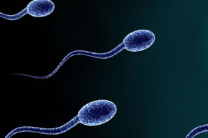 Sperm Fish ve Tunel Test Nedir?
